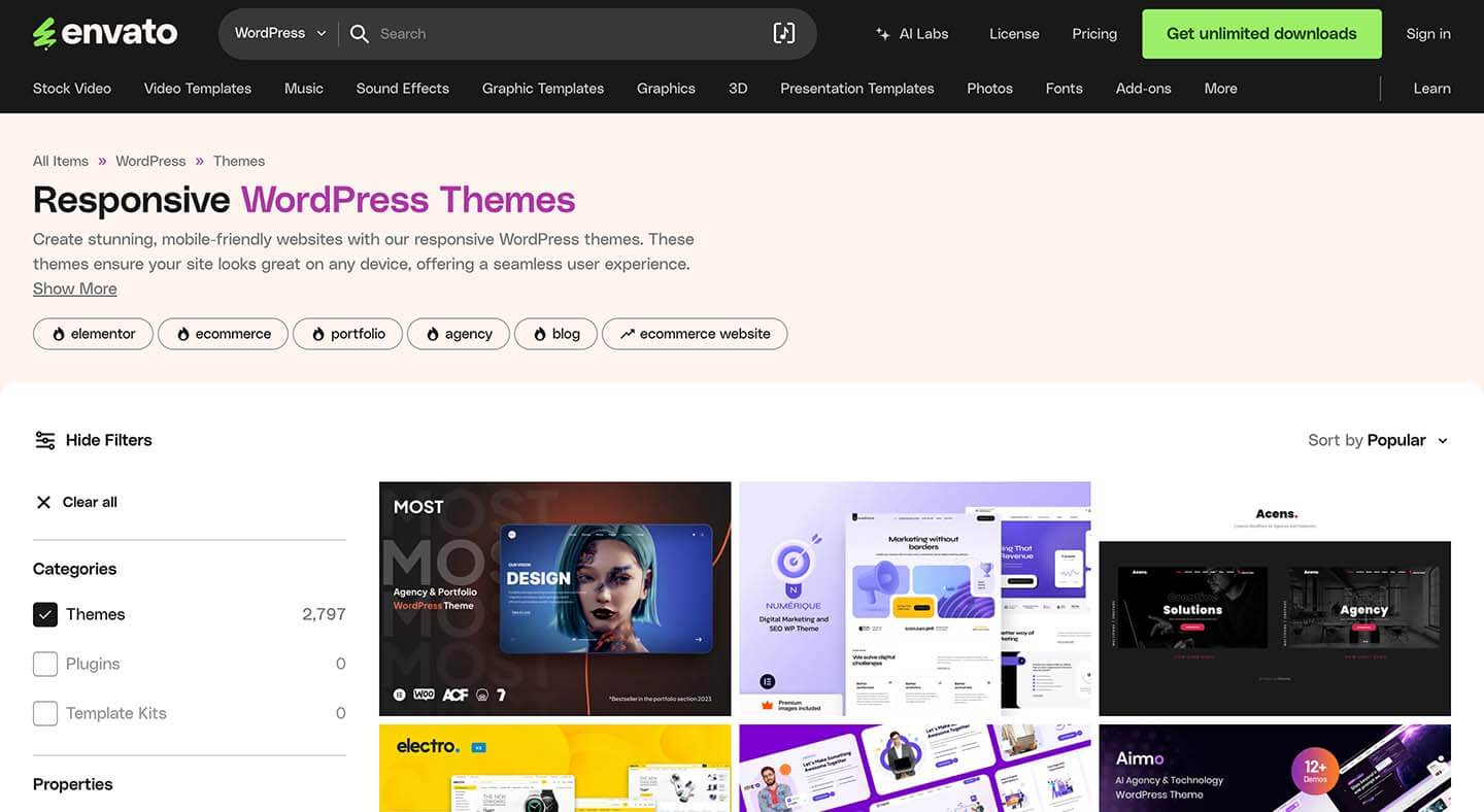 Envato Elements 主题商店 WordPress